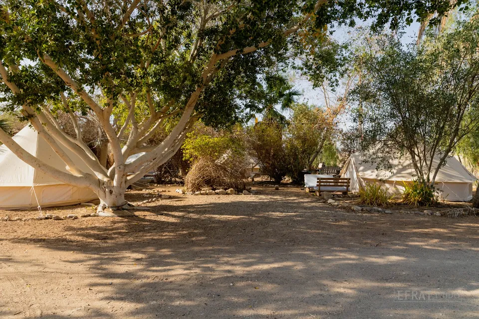 חוות עיר אובות-53